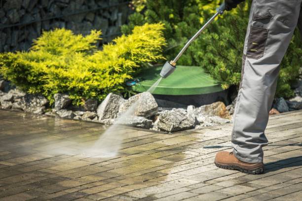Best Dumpster Area Cleaning  in Babson Park, FL
