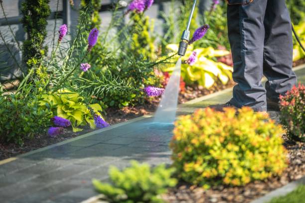 Best Warehouse Cleaning  in Babson Park, FL